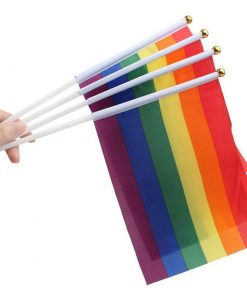 50 Pieces Rainbow Hand Held Flags PN0112 Default Title Official PAN FLAG Merch