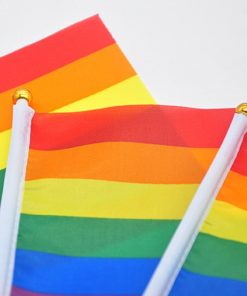 50 Pieces Rainbow Hand Held Flags PN0112 3 - Lesbian Flag 50 pcs Geminbowl Rainbow flag Hand Waving Gay Pride LGBT parade Les Bunting 14x21cm Geminbowl Brand 8546145a a46c 4caa 9f8f 8ac6066012b3 - Lesbian Flag