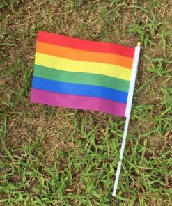 50 Pieces Rainbow Hand Held Flags PN0112 5 - Lesbian Flag 50 pcs Geminbowl Rainbow flag Hand Waving Gay Pride LGBT parade Les Bunting 14x21cm Geminbowl Brand 8780550e 095f 45be 8f62 b0eb52765d27 - Lesbian Flag