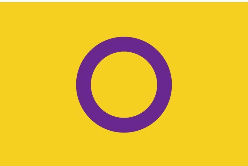 60-90cm-15-21cm-90-150cm-Intersex-Pride-Flag-3-ft-Digital-Printing-30-45cm-Car 3x5 ft (90x150cm) / 4 Grommets Official PAN FLAG Merch