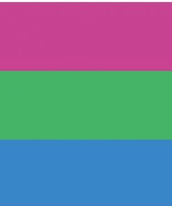 2x3 ft (60x90cm) / 4 Grommets Official PAN FLAG Merch