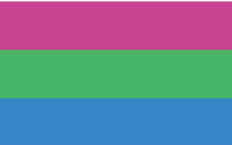 60-90cm-30-45cm-15-21cm-Banner-Flying-150-90cm-Flag-Polysexual-Pride-Flag-For-Party 2x3 ft (60x90cm) / 4 Grommets Official PAN FLAG Merch