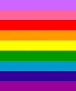 2x3 ft (60x90cm) / 4 Corner Grommets Official PAN FLAG Merch