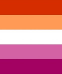 2x3ft (60x90cm) / 4 Grommets Official PAN FLAG Merch