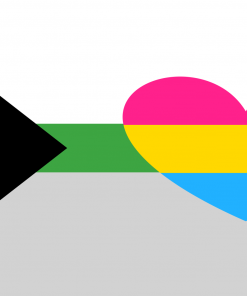 Pansexual Demiromantic Pride Flag PN0112 3 - Lesbian Flag 3x5 ft (90x150 cm) / Demi BG S Official PAN FLAG Merch