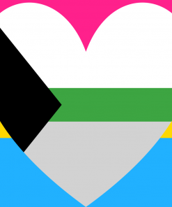 Pansexual Demiromantic Pride Flag PN0112 2 - Lesbian Flag 2x3 ft (60x90 cm) / Demi BG S Official PAN FLAG Merch