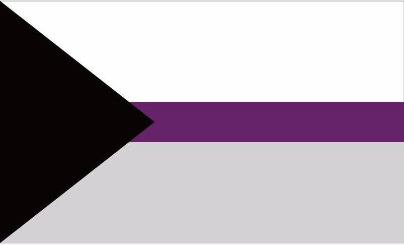 Proposed-Separate-Demisexual-Flag-30-45cm-For-Car-Flag-90-150cm-60-90cm-15-21cm-For 2x3 ft (60x90cm) / 4 Grommets Official PAN FLAG Merch