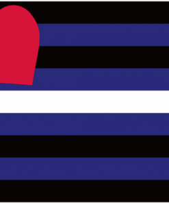 3x5 ft 990x150 cm) Official PAN FLAG Merch