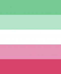 2x3 ft (60x90cm) / 4 Grommets Official PAN FLAG Merch