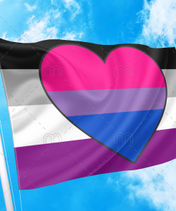 Asexual Biromantic Pride Flag PN0112 3 - Lesbian Flag 3x5 ft (90x150 cm) / 2 Grommets left Official PAN FLAG Merch