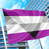 Aegosexual/Autochorissexual-Akiosexual Pride Flag PN0112 2x3 ft (60x90 cm) / Purple Official PAN FLAG Merch