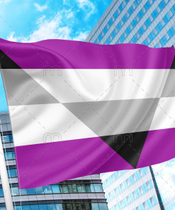 Aegosexual/Autochorissexual-Akiosexual Pride Flag PN0112 2x3 ft (60x90 cm) / Purple Official PAN FLAG Merch