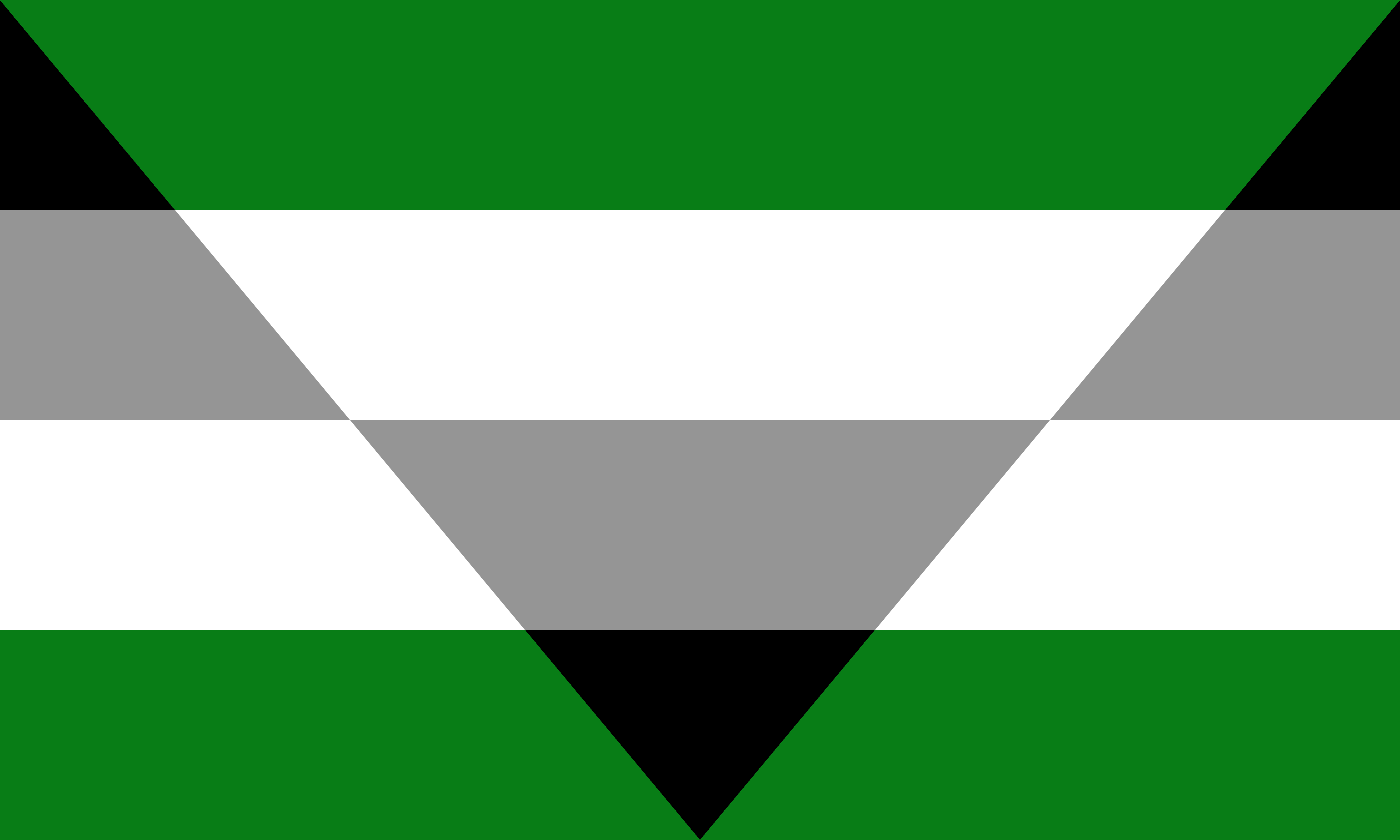 aegoromantic___autochorisromantic_pride_flag__1__by_pride_flags-d96x5or 3x5 ft (90x150 cm) / Green Official PAN FLAG Merch