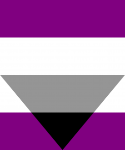 3x5 ft (90x150 cm) / Purple Official PAN FLAG Merch