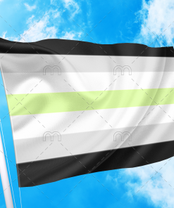 Agender Pride Flag PN0112 3 - Lesbian Flag 3x5 (90x150cm) / 2 Grommets left Official PAN FLAG Merch