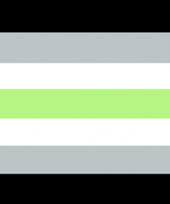 2x3 ft (60x90cm) / 4 Grommets Official PAN FLAG Merch