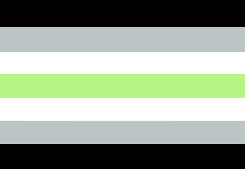 agender 2x3 ft (60x90cm) / 4 Grommets Official PAN FLAG Merch