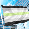 Agender Pride Flag PN0112 2x3 ft (60x90cm) / 2 Grommets left Official PAN FLAG Merch