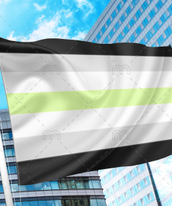 Agender Pride Flag PN0112 2x3 ft (60x90cm) / 2 Grommets left Official PAN FLAG Merch