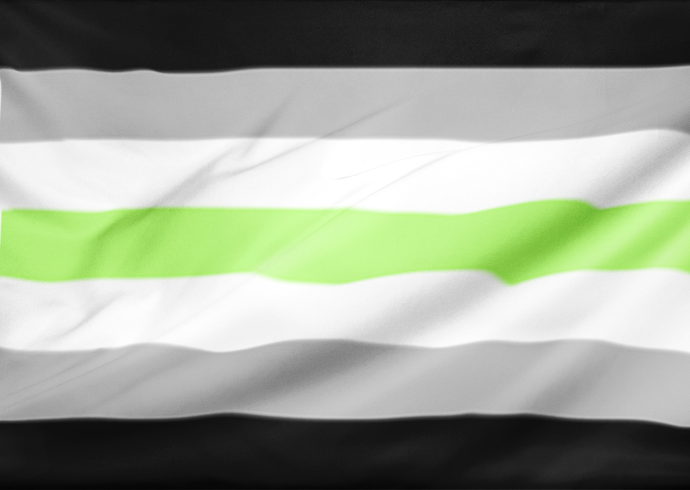 ar0man 2x3 ft (60x90cm) / No Grommets Official PAN FLAG Merch