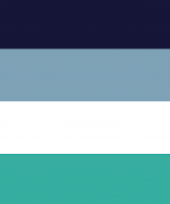 60x90 cm (2x3 ft) / 4 Corner Grommets Official PAN FLAG Merch