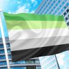 Aromantic Pride Flag PN0112 2x3 ft (60x90 cm) / 2 Grommets left Official PAN FLAG Merch