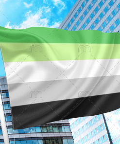 Aromantic Pride Flag PN0112 2x3 ft (60x90 cm) / 2 Grommets left Official PAN FLAG Merch