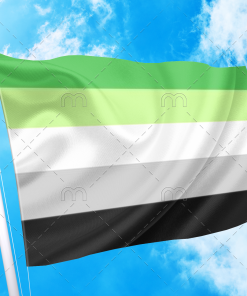 Aromantic Pride Flag PN0112 2 - Lesbian Flag 2x3 ft (60x90 cm) / No Grommets Official PAN FLAG Merch