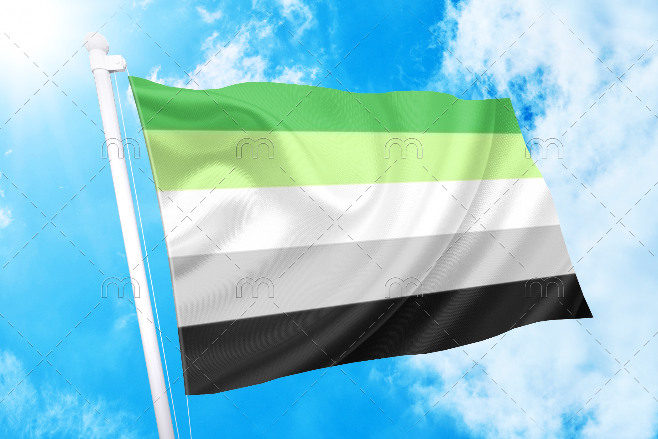 aromantic11 2x3 ft (60x90 cm) / No Grommets Official PAN FLAG Merch