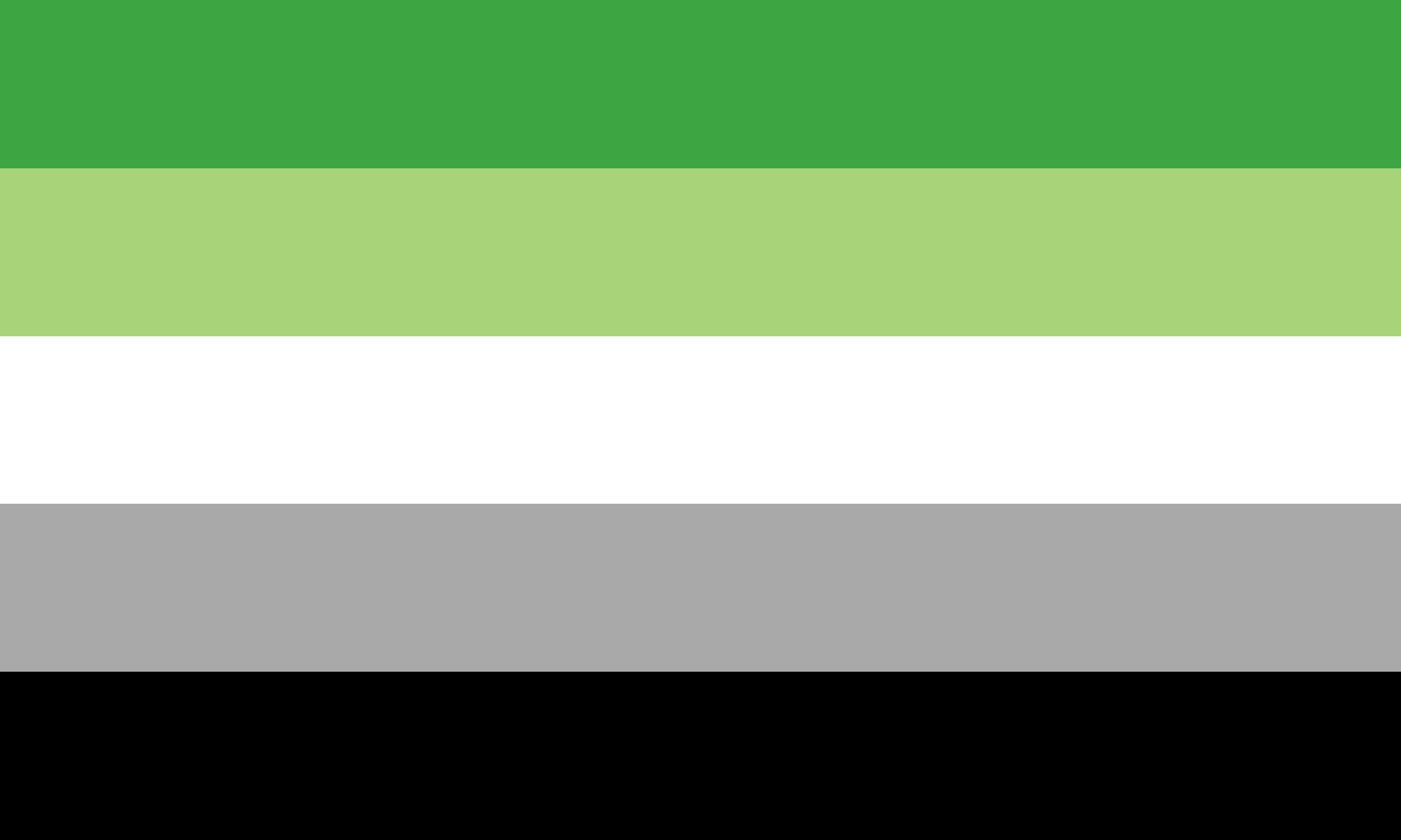 aromantic__1__by_pride_flags-d8zu7h4 2x3 ft (60x90 cm) / 4 Grommets Official PAN FLAG Merch
