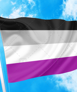 Asexual Pride Flag PN0112 3 - Lesbian Flag 3x5 ft (90x150 cm) / 2 grommets left side Official PAN FLAG Merch