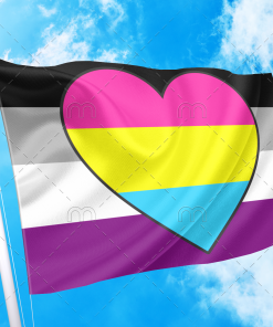 Asexual Panromantic Flag PN0112 3 - Lesbian Flag 2x3 ft (60x90 cm) / variation / 2 Grommets Official PAN FLAG Merch