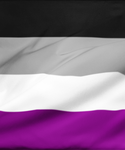 Asexual Pride Flag PN0112 2 - Lesbian Flag 2x3 ft (60 x 90 cm) / 4 corner grommets Official PAN FLAG Merch