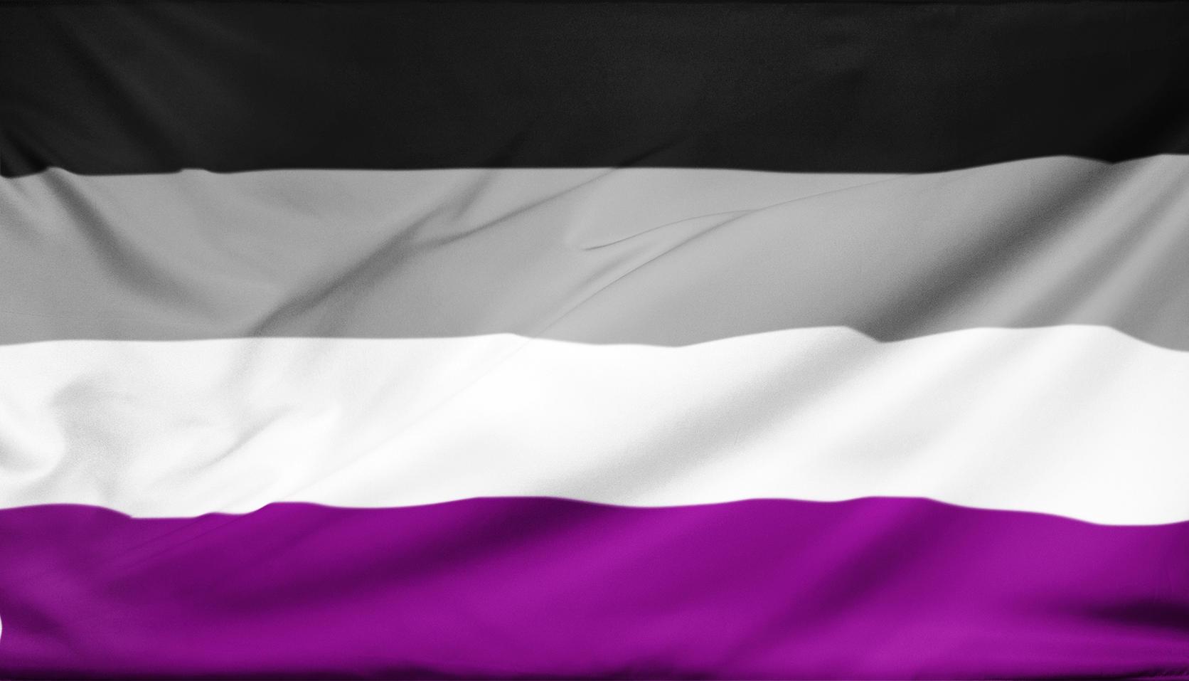 asex1 2x3 ft (60 x 90 cm) / 4 corner grommets Official PAN FLAG Merch