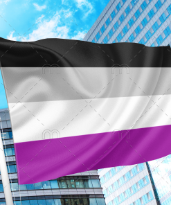 Asexual Pride Flag PN0112 2x3 ft (60 x 90 cm) / 2 grommets left side Official PAN FLAG Merch