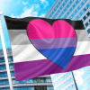 Asexual Biromantic Pride Flag PN0112 2x3 ft (60x90 cm) / 2 Grommets left Official PAN FLAG Merch