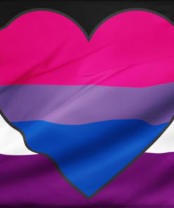 Asexual Biromantic Pride Flag PN0112 2 - Lesbian Flag 2x3 ft (60x90 cm) / No Grommets Official PAN FLAG Merch