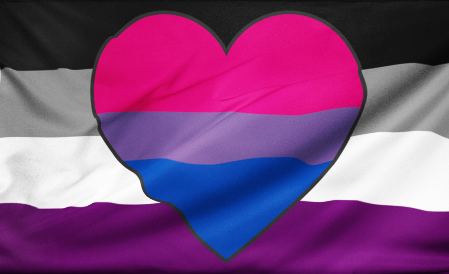 asexbisex 2x3 ft (60x90 cm) / No Grommets Official PAN FLAG Merch