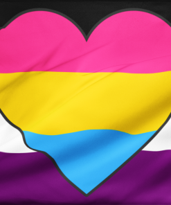 Asexual Panromantic Flag PN0112 2 - Lesbian Flag 2x3 ft (60x90 cm) / original / No Grommets Official PAN FLAG Merch