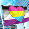 Asexual Panromantic Flag PN0112 2x3 ft (60x90 cm) / original / 2 Grommets Official PAN FLAG Merch