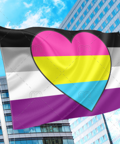 Asexual Panromantic Flag PN0112 2x3 ft (60x90 cm) / original / 2 Grommets Official PAN FLAG Merch