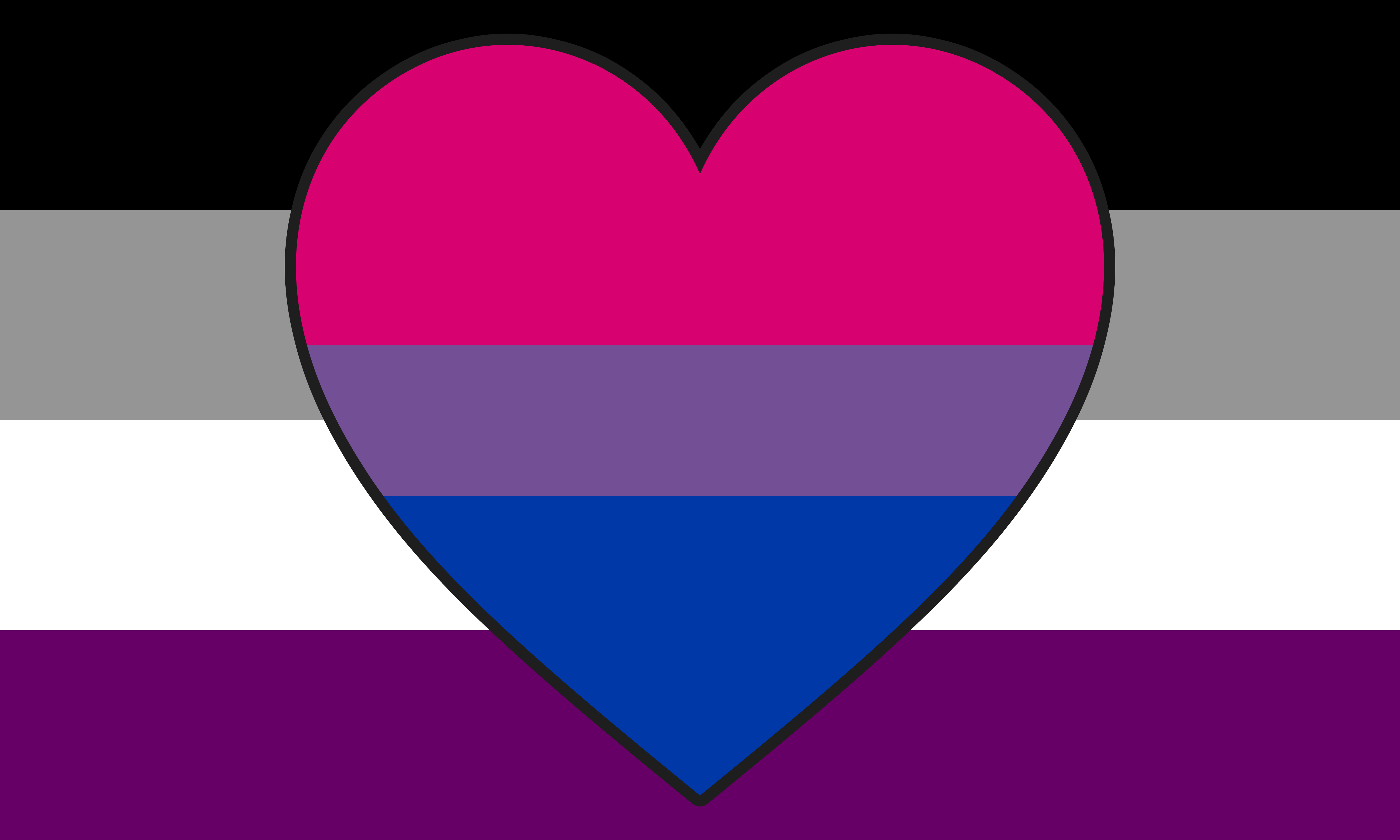 asexual_biromantic_combo_flag_by_pride_flags-da00qy7 2x3 ft (60x90 cm) / 4 Grommets Official PAN FLAG Merch
