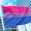 Bisexual Pride Flag - Bi Flag PN0112 2x3ft (60x90cm) / 2 Grommets Official PAN FLAG Merch