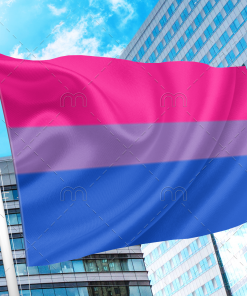 Bisexual Pride Flag - Bi Flag PN0112 2x3ft (60x90cm) / 2 Grommets Official PAN FLAG Merch
