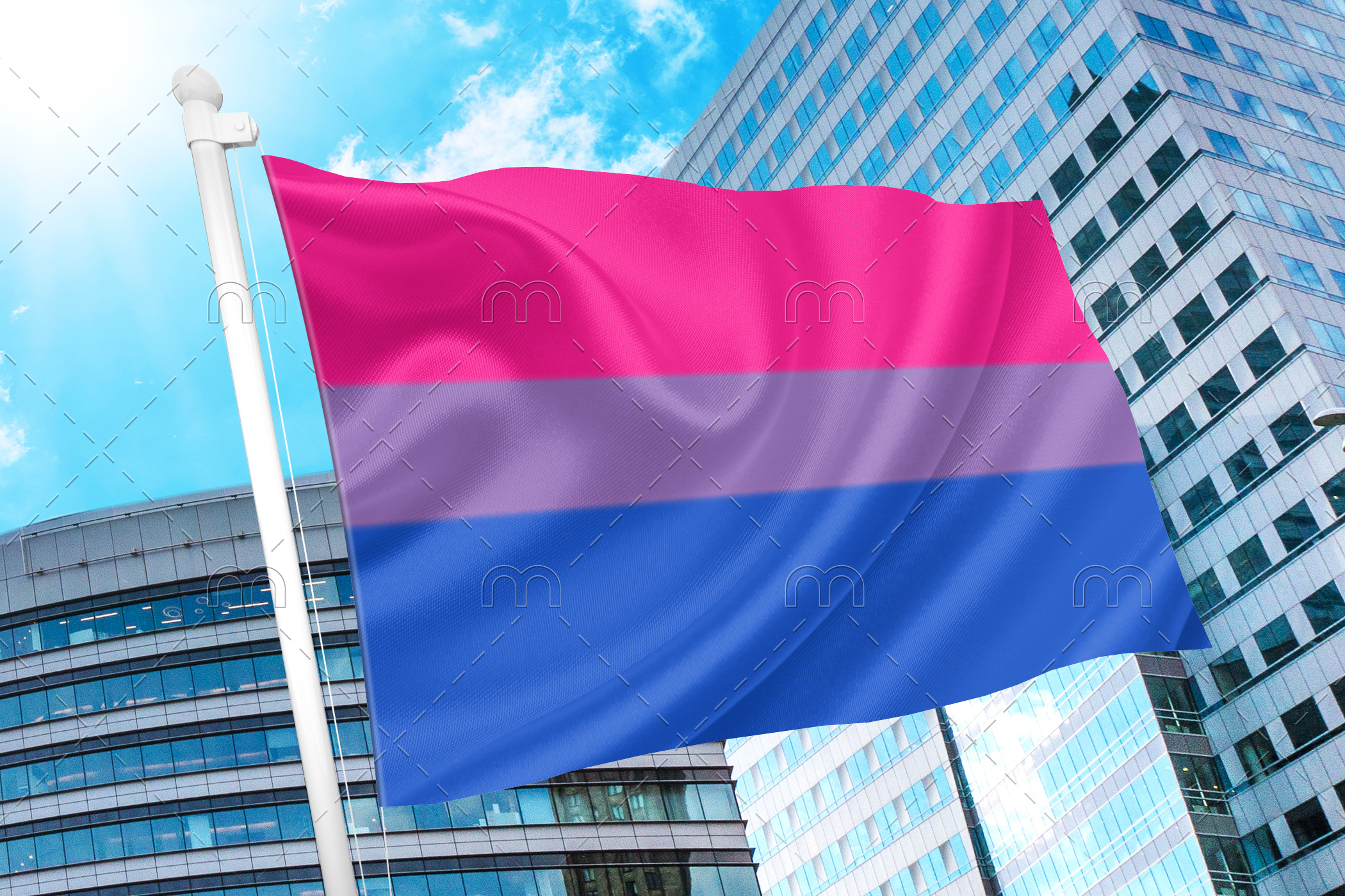 bi11 Bisexual Pride Flag - Bi Flag PN0112 2x3ft (60x90cm) / 2 Grommets Official PAN FLAG Merch