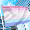 Bigender Pride Flag PN0112 2x3ft (60x90 cm) / Bigender / 2 Grommets left Official PAN FLAG Merch