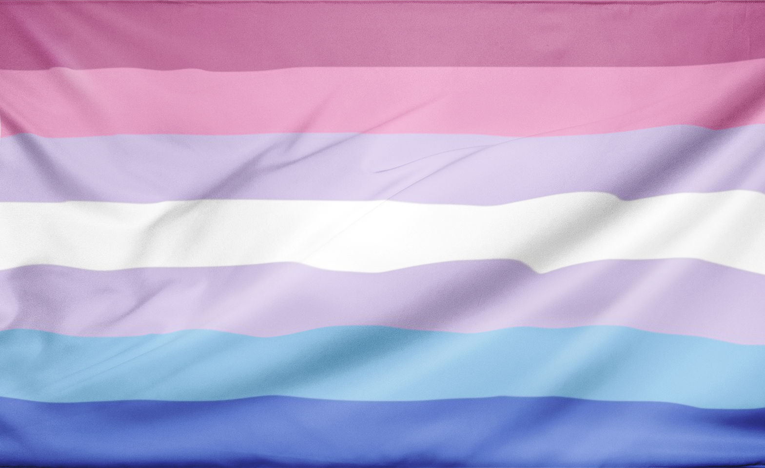 bigender2 2x3ft (60x90 cm) / Bigender / No Grommets Official PAN FLAG Merch