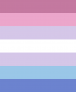 2x3ft (60x90 cm) / Bigender / 4 Grommets Official PAN FLAG Merch