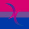 Bisexual Moons Flag PN0112 2x3 ft (60x90) / 2 Grommets Left Official PAN FLAG Merch