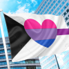 Biromantic Demisexual Flag PN0112 2x3 ft (60x90cm) / 2 Grommets Left Official PAN FLAG Merch